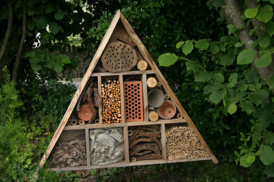 Insektenhotel0108a.jpg