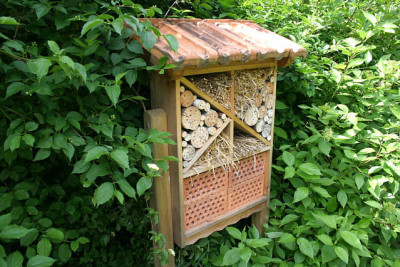 Insektenhotel0309a.jpg
