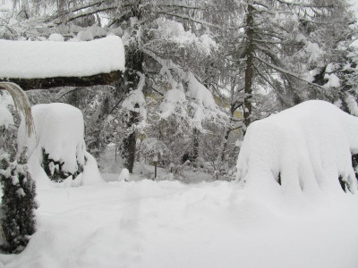 Schnee_2014-01-31.jpg