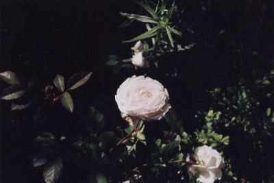Clothilde_Soupert.jpg