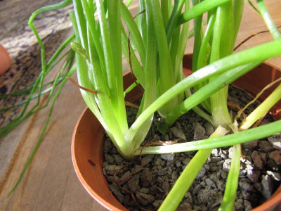 wasistdas_Detail2140203.jpg