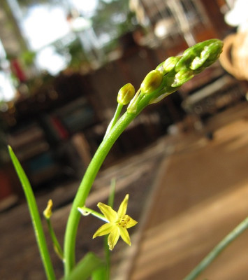 wasistdas_Detail3140203.jpg