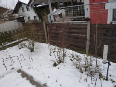 Saulenobst_Standort__04.02.2014.JPG