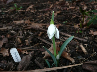 tg_140206.jpg