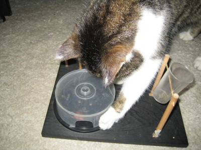 Karl-CDbox1.JPG