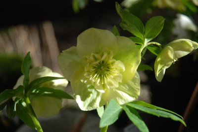 C9673_Small.JPG