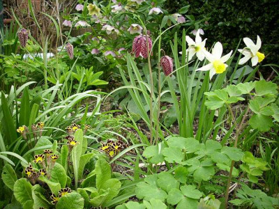 spring_01..jpg