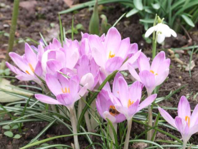 DSCF1369.JPG