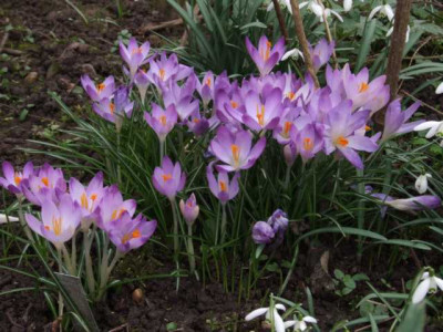 DSCF1365.JPG