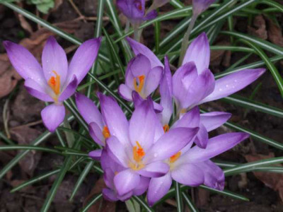 DSCF1372.JPG