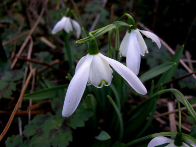 2014-02-20_3.JPG