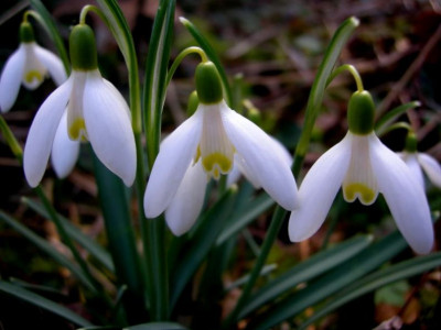 2014-02-20_4.JPG
