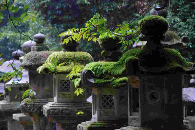081014.145459.D80.Nara.Kasuga_Schrein_-_Kopie.jpg