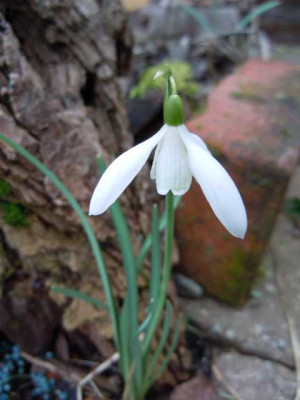 22.02.14_007.JPG