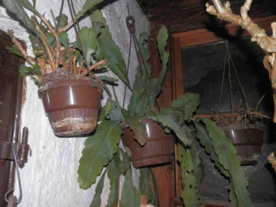 P2240003.jpg