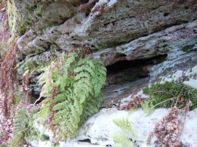 helle_und_dunkle_borus_020314_005.JPG