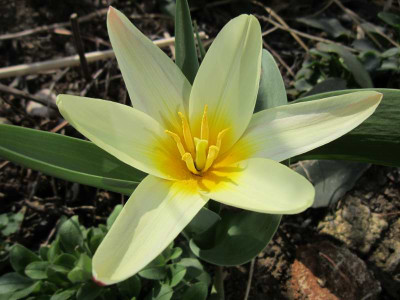140304_07a.jpg