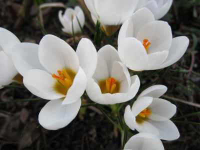 140304_06a.jpg