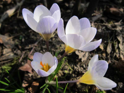 140304_10a.jpg