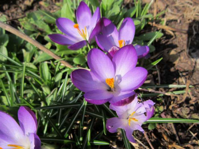 140304_02a.jpg