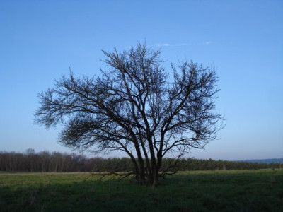 de561e8f.m.jpg