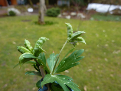 P1030726_2.JPG
