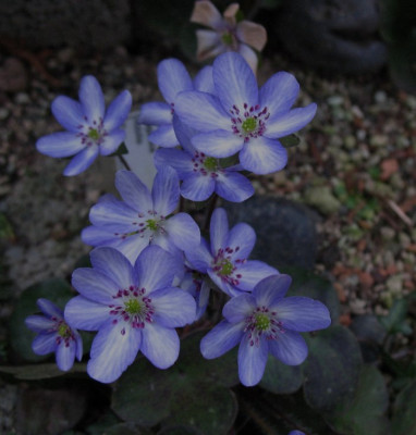 Zoe__7.3.14_030.jpg