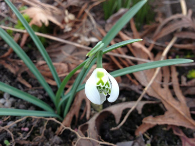 cf_gefuellt_20140307_zg.jpg