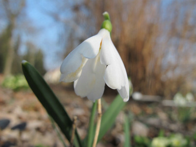 Poculi_8.3.14_ue.jpg