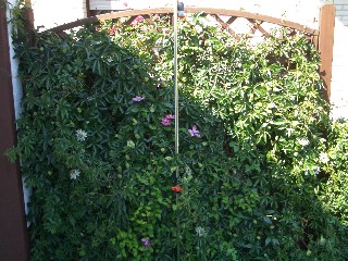 Web_Garten_125_004.jpg