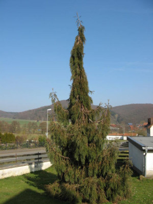 IMG_6973.JPG