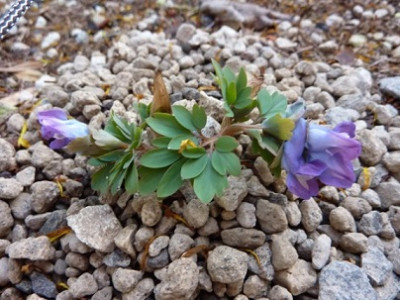 P1030746.jpg