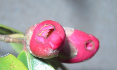 PICT8958-002.JPG