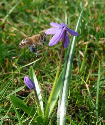 tg_140320_1.jpg