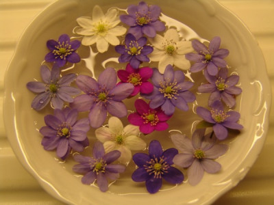 DSC02990-kl1.jpg
