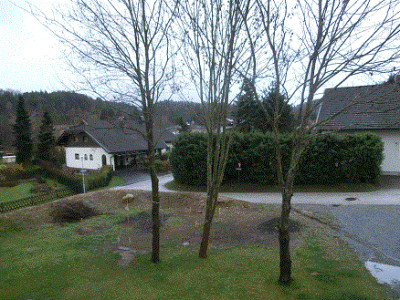 9.gif