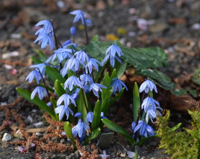 DSC_0309_112.jpg