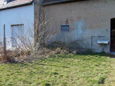weidenecke_Marz2011_80.jpg