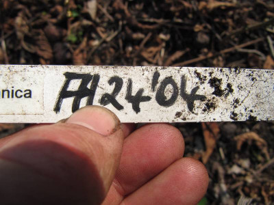 Schild_AH_2404.jpg