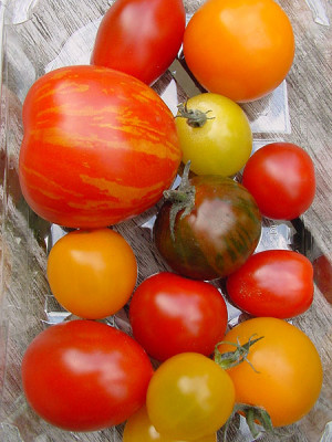 supermarkt_tomaten_01.jpg