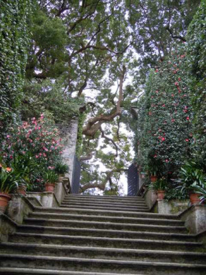 Feriolo_Lago_Maggiore_31.03_bis_3.04.14_051.JPG