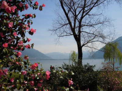 Feriolo_Lago_Maggiore_31.03_bis_3.04.14_015.JPG