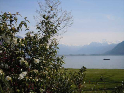 Feriolo_Lago_Maggiore_31.03_bis_3.04.14_018.JPG