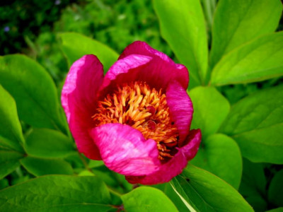 2014-03-31_6.JPG