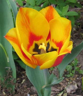 IMG_0842_07-04-2014.jpg