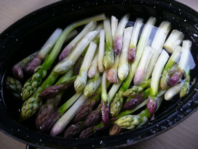 ernte_140408.jpg