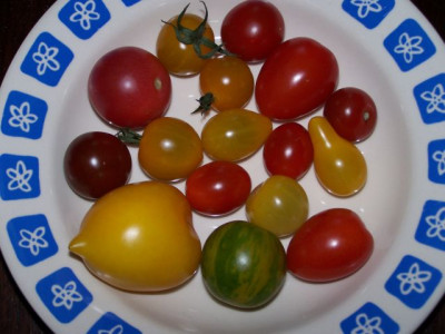 tomaten_minimal.jpg