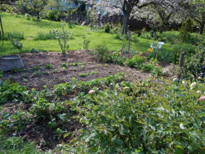 neuangelegter_Nutzgartenteil.JPG
