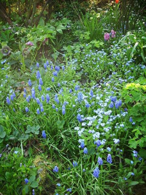 2014_frohe_ostern_-_das_blaue_elend.jpg
