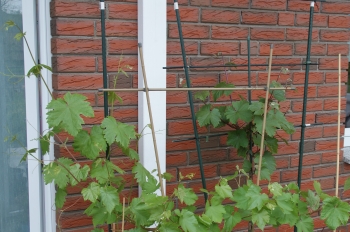 Wintergarten.jpg